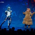 Cats_3